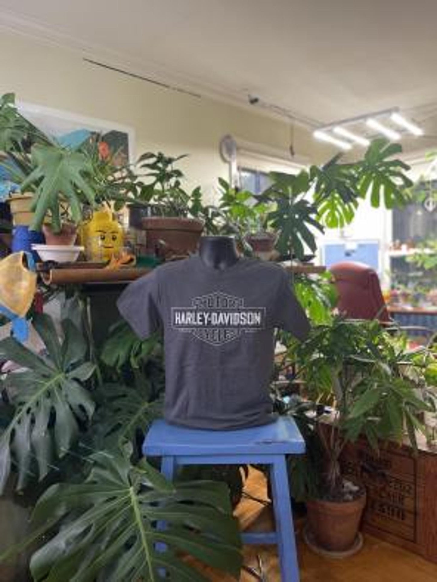 Harley-Davidson Genuine T-Shirt - Small