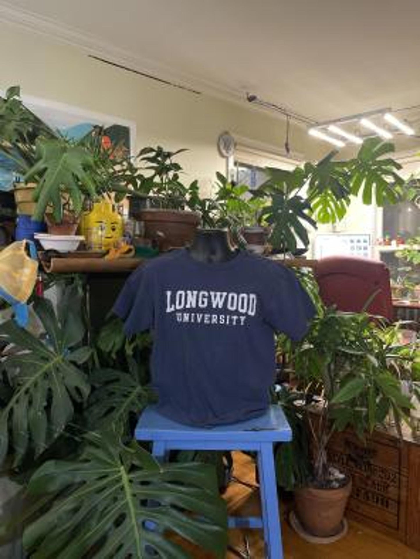 Yikes! Longwood University T-Shirt - Navy Blue