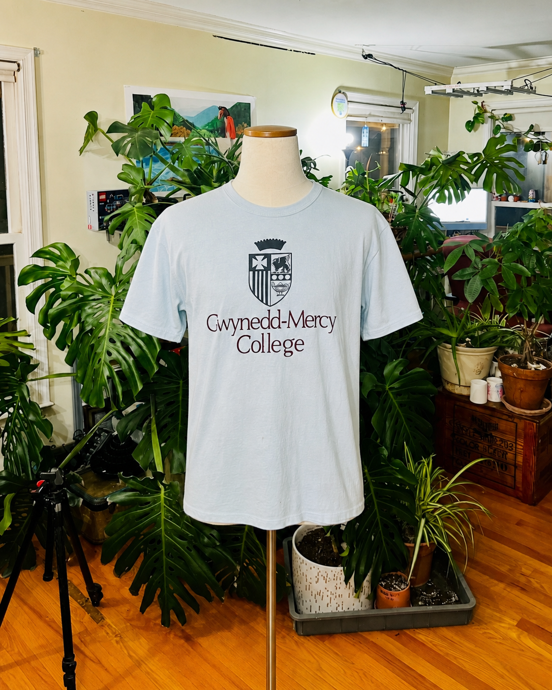 Vintage Gwynedd-Mercy College Crest T-Shirt – Off White