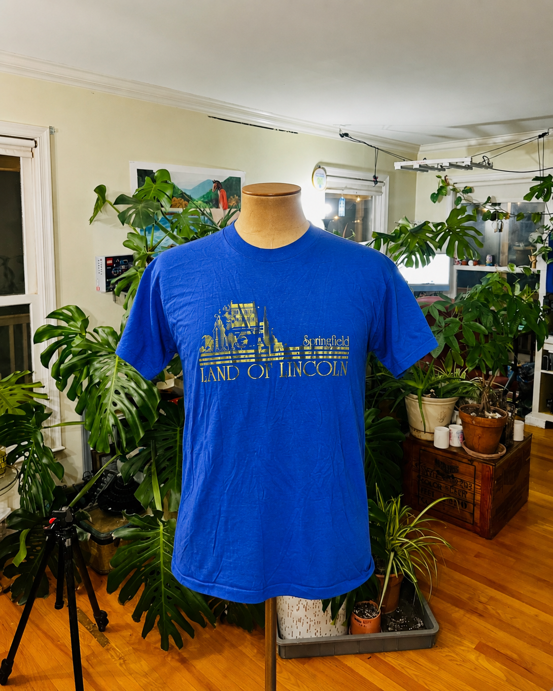 Springfield "Land of Lincoln" Graphic T-Shirt
