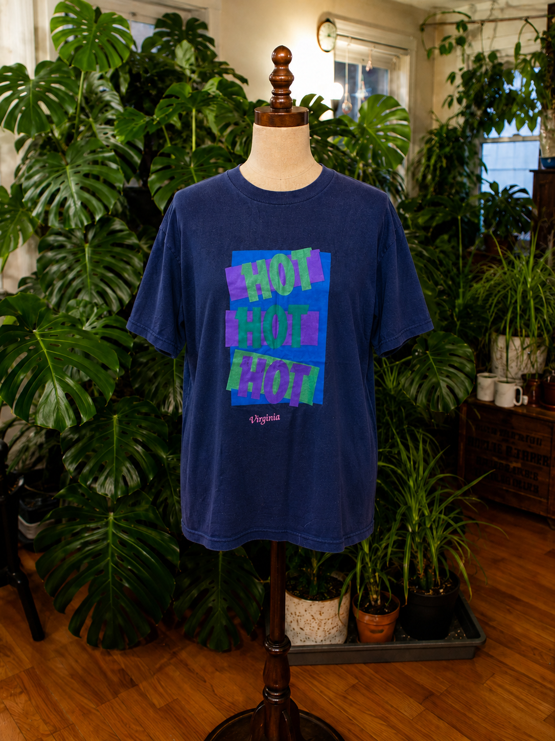 Vintage Hot Hot Hot Virginia Graphic T-Shirt