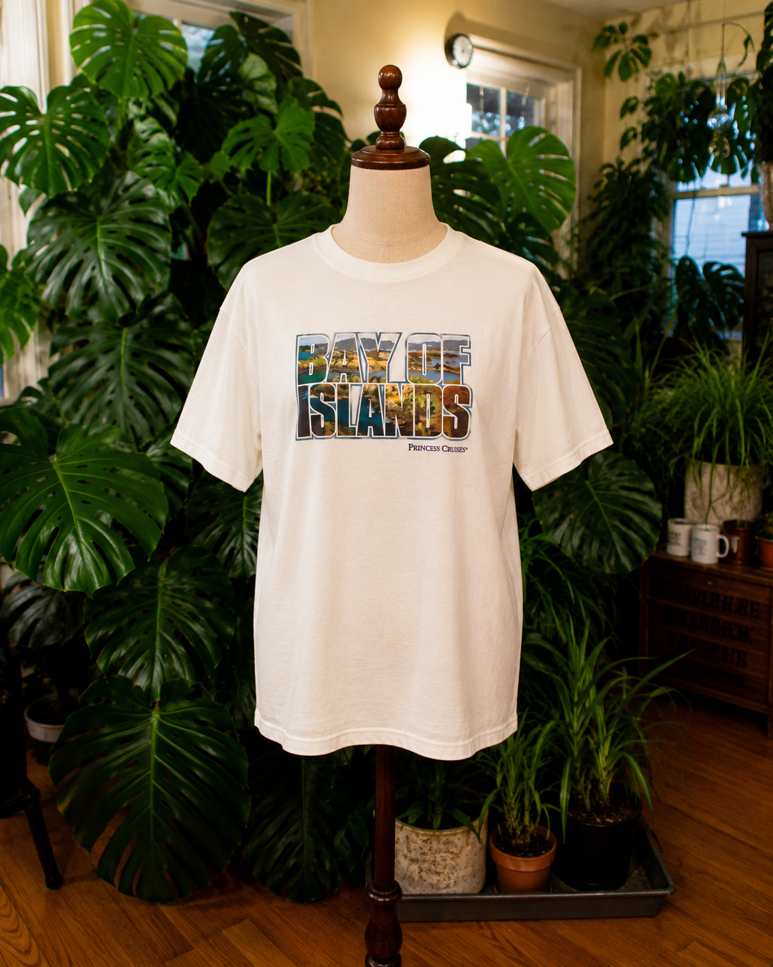 Bay of Islands Princess Cruises Graphic T-Shirt