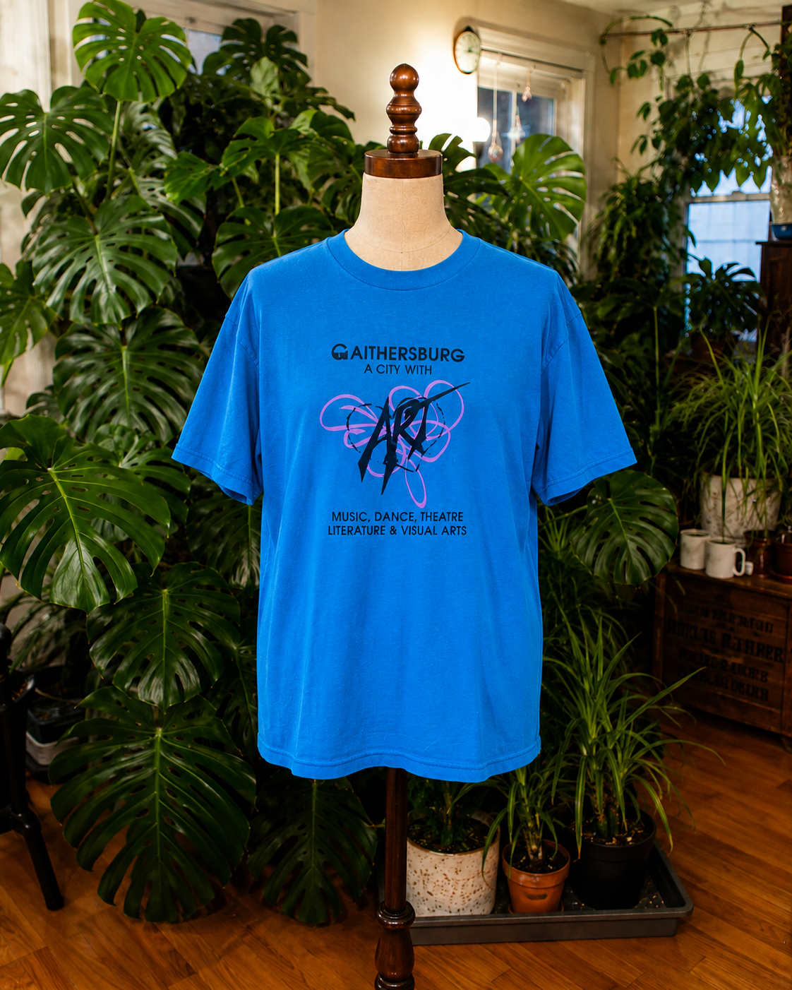 Gaithersburg “A City With Art” Graphic T-Shirt