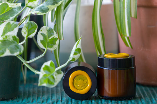 Casanova Curiosities Healing Salve