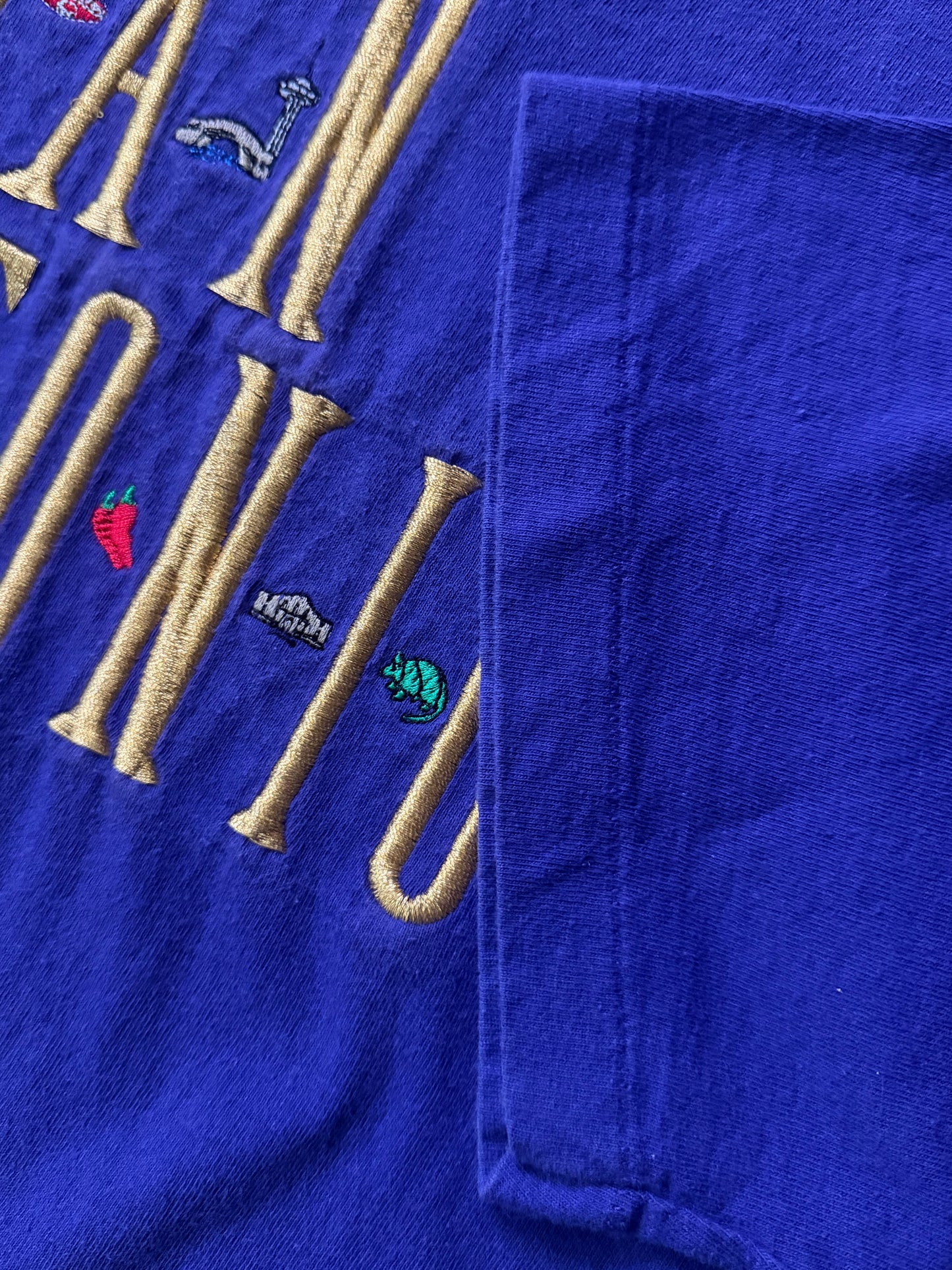 Vintage San Antonio Embroidered T-Shirt – Royal Blue