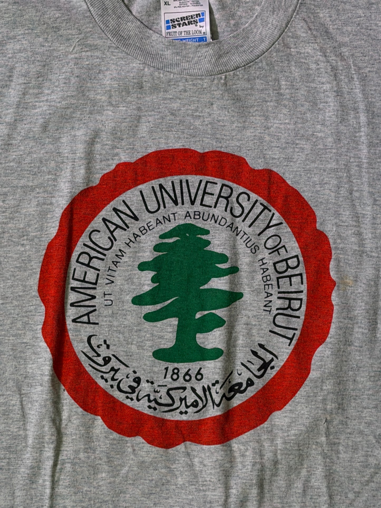 Vintage American University of Beirut T-Shirt – Heather Gray