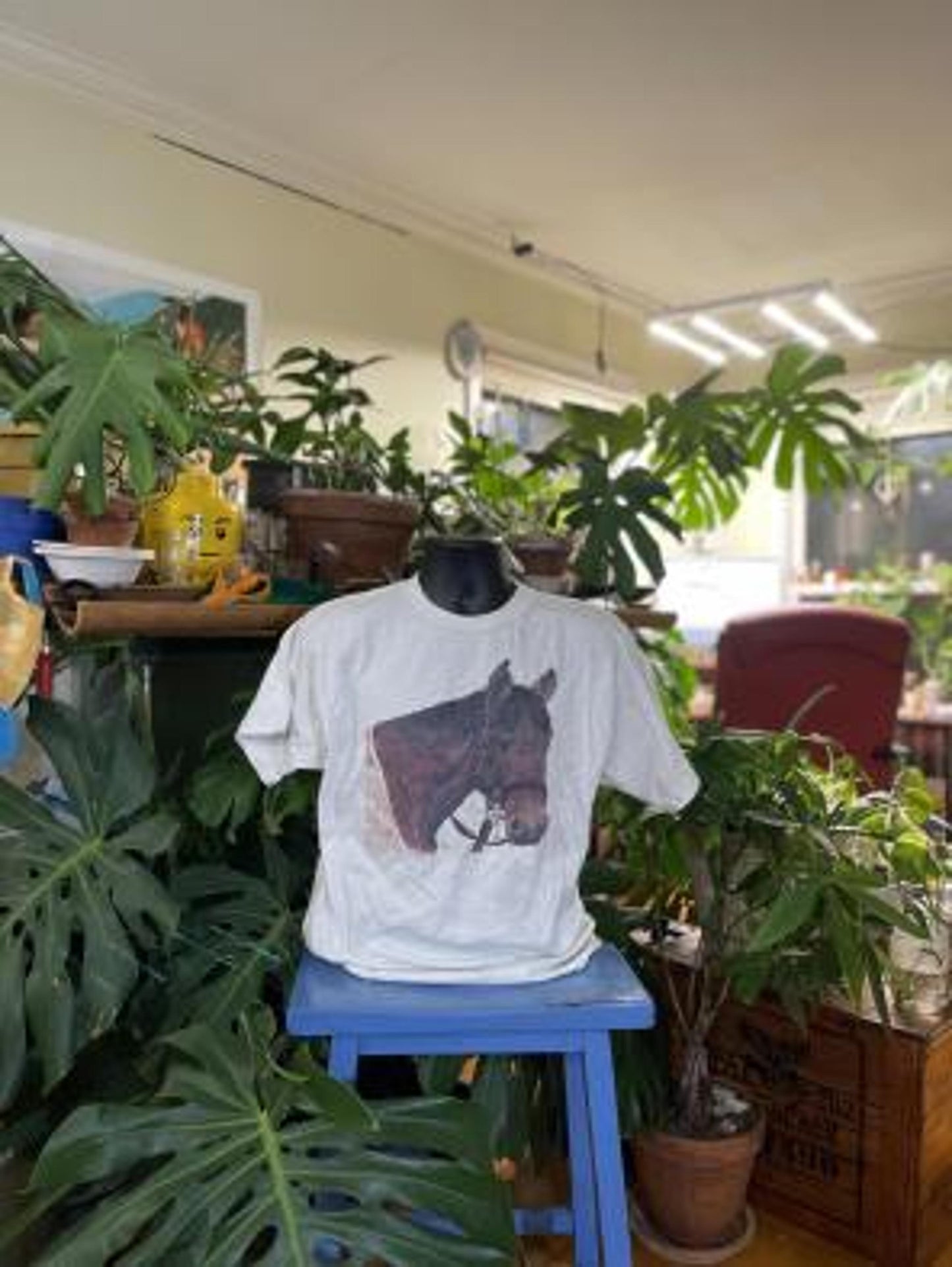 Vintage Mountain Express Horse Graphic T-Shirt