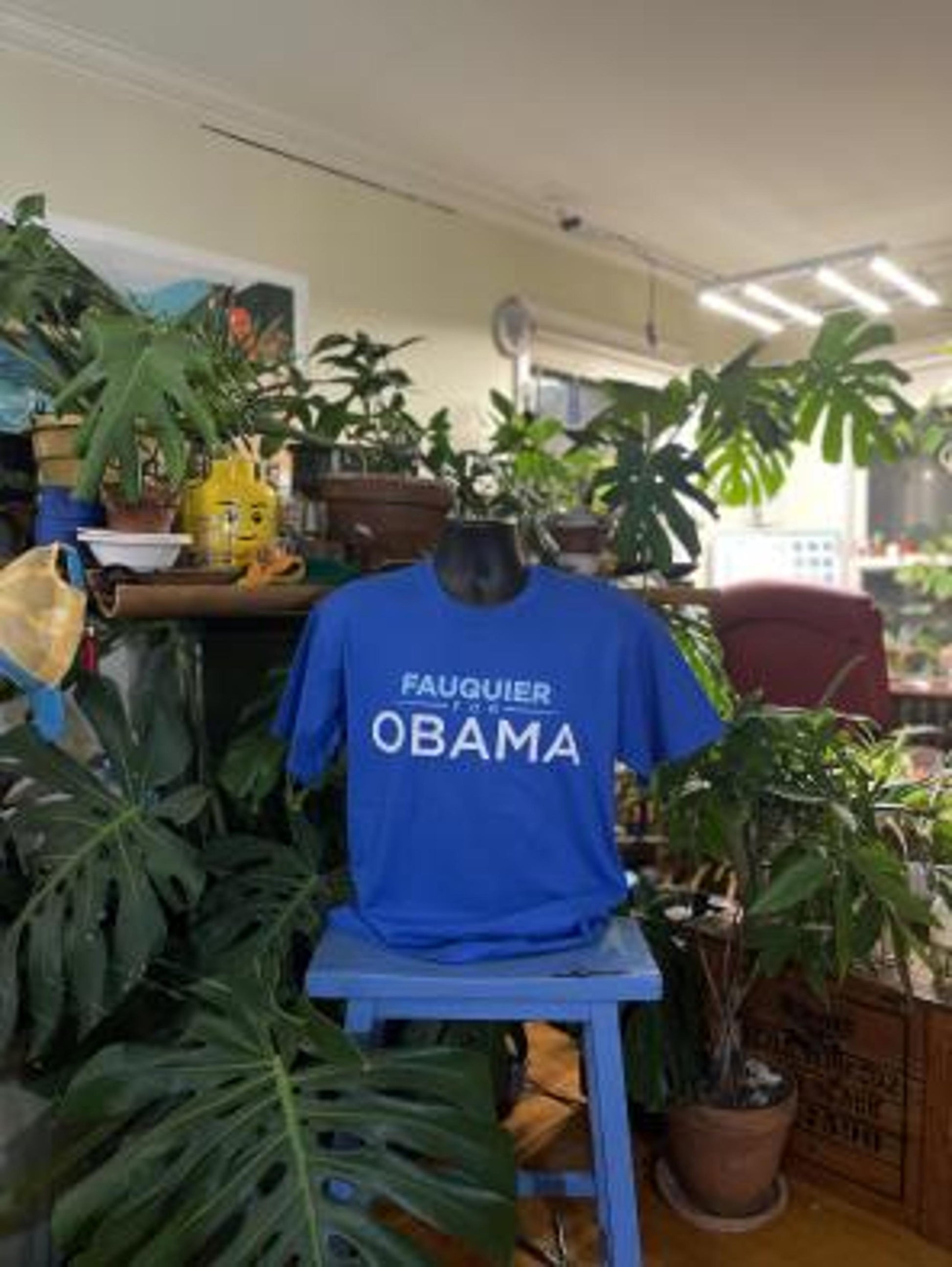 Fauquier for Obama Tshirt!