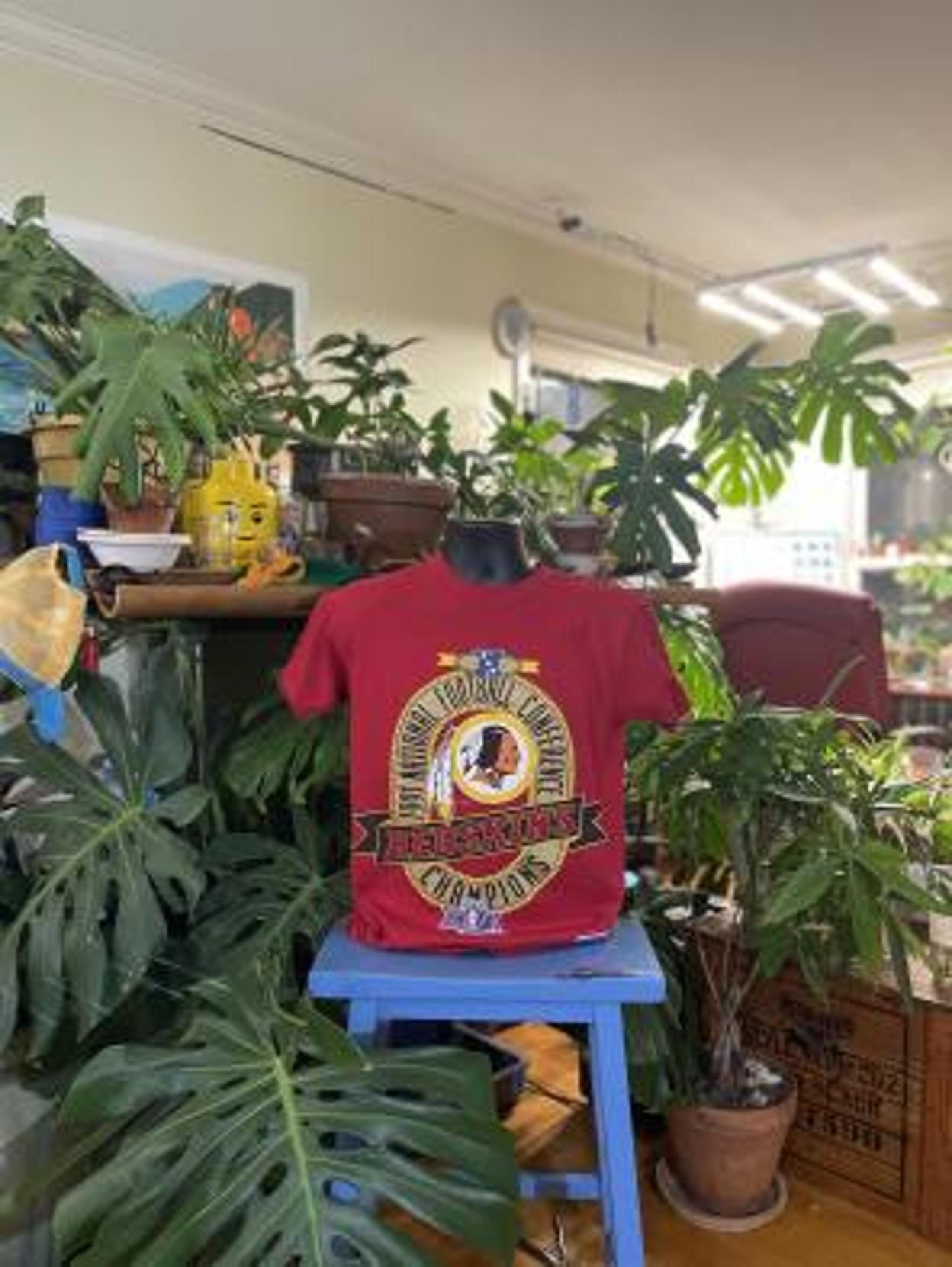 True Vintage 1991 Redskins NFC Champions Shirt - Single Stitch