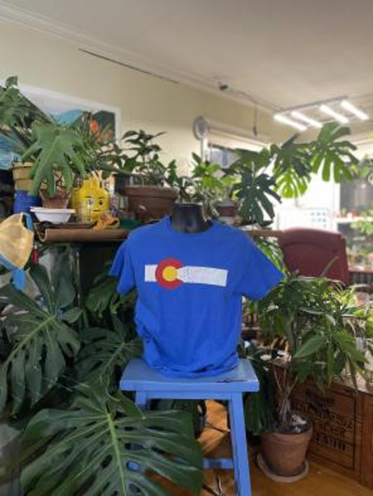 Vintage Worn Colorado Tshirt